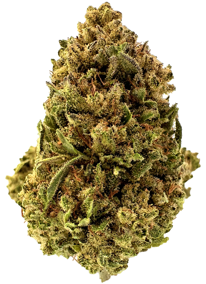 Photograph of product: Black Bear Farms | White Truffle | 3.5G