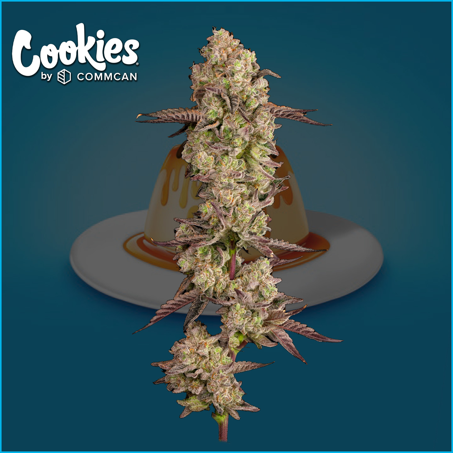 Photograph of product: Cookies Mexican Flan 3.5g