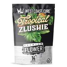 Photograph of product: TROPICAL ZLUSHIE 28G