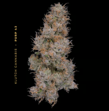 Photograph of product: Purp 43 | 2.83g