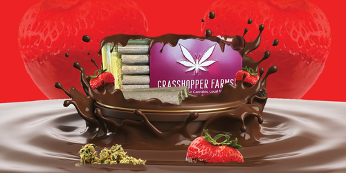 Photograph of product: Grasshopper - Infused Pre-Roll Tins - Chocolate Covered Strawberry