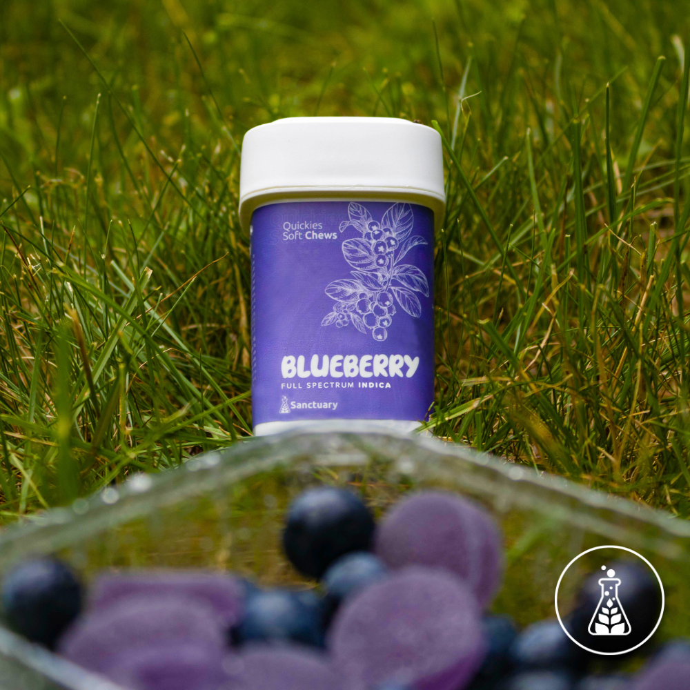 Photograph of product: Blueberry Full Spectrum Fruit Chews | 100mg - Quickies