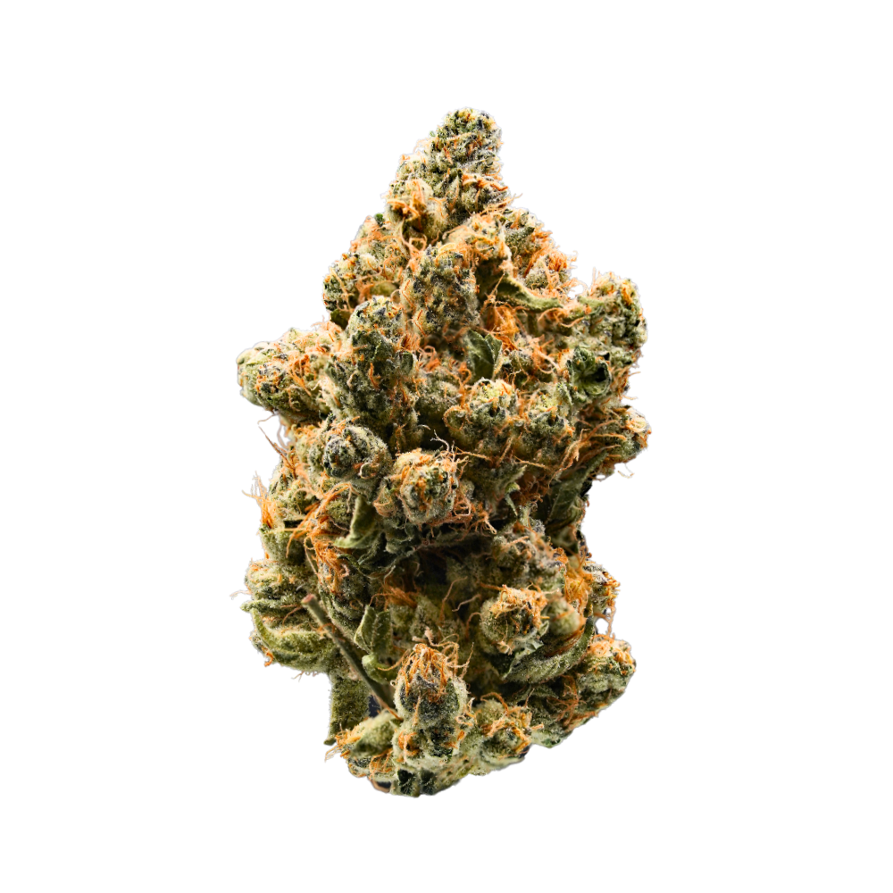 Photograph of product: Gelato Punch - 3.5g