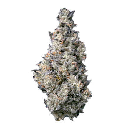Photograph of product: DONUT SHOP | 3.5G