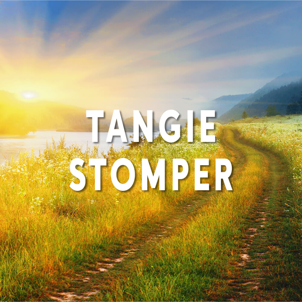 Photograph of product: Tangie Stomper | Infused Flower | Riv Stick | 1g