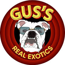 Logo for img-fluid: Gus's Real Exotics