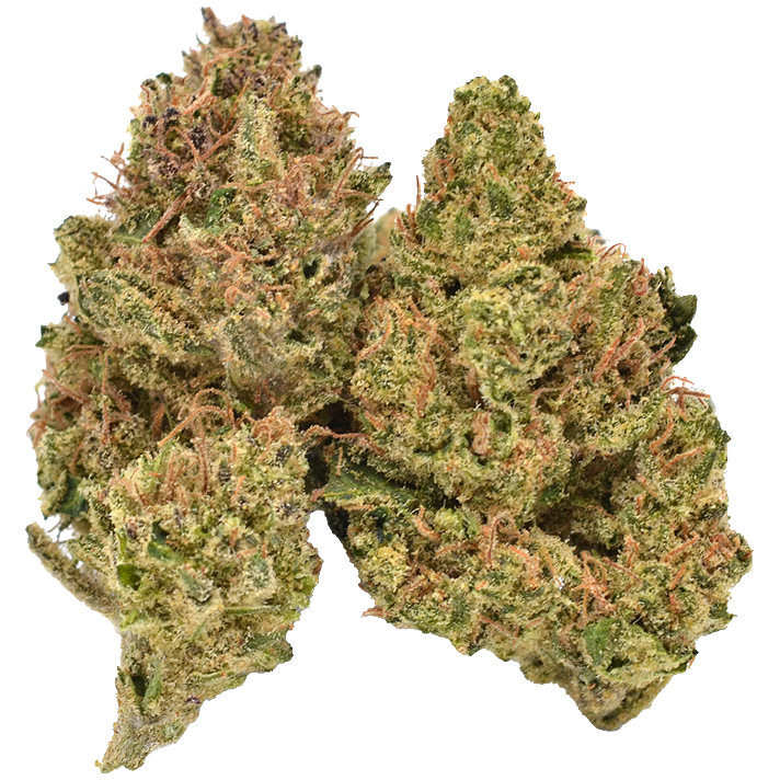 Photograph of product: Enso | Lavender Jack | 14G