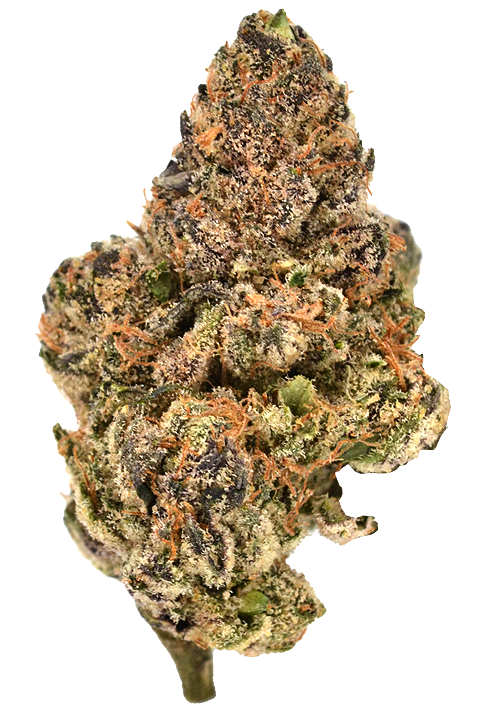 Photograph of product: Maven Genetics | LipSmackerz | 3.5G