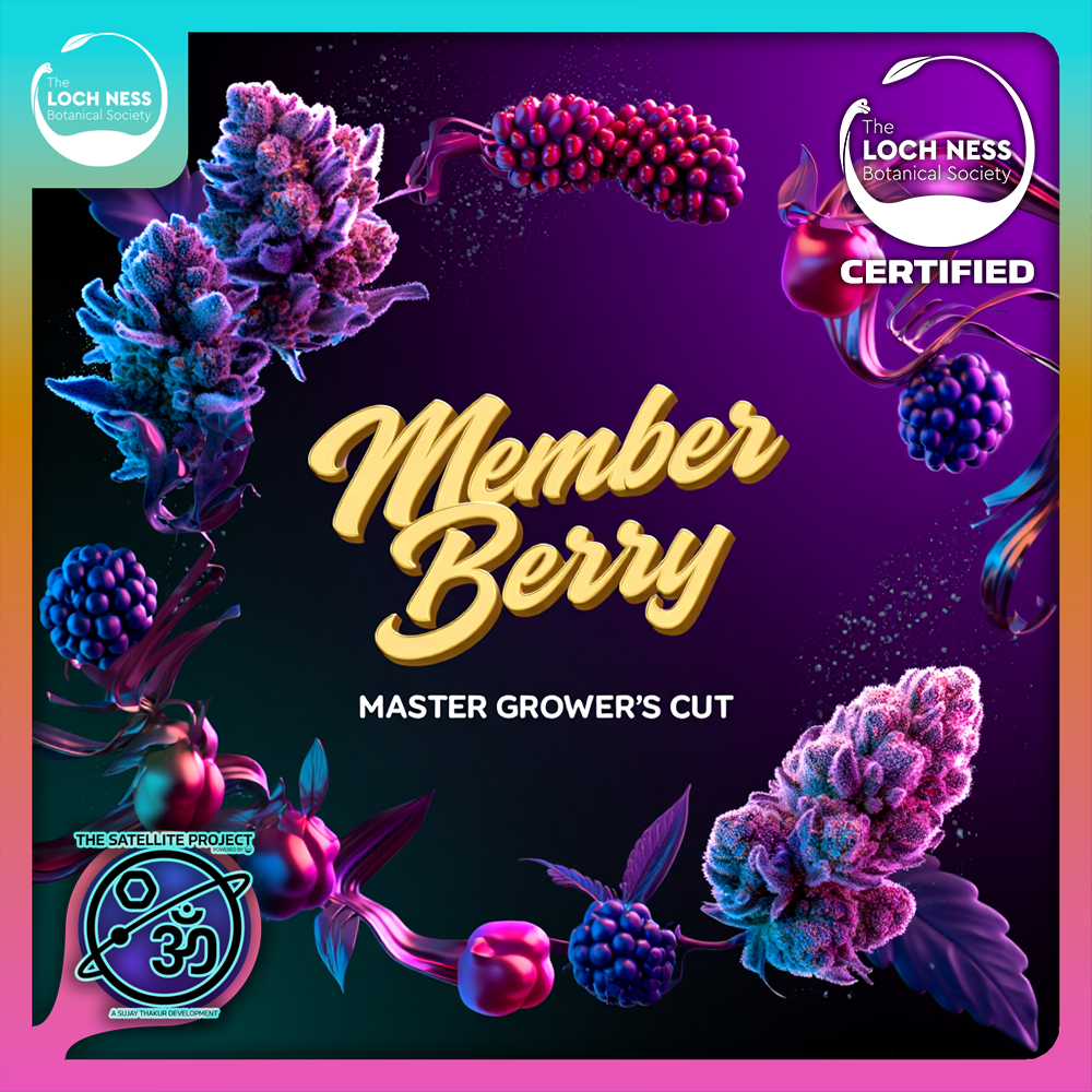 Photograph of product: Member Berry | Flower (MG Cut) - 1g