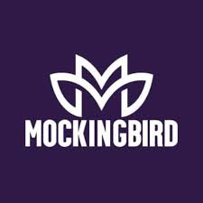 Photograph of product: AiroSport Battery Multicolor