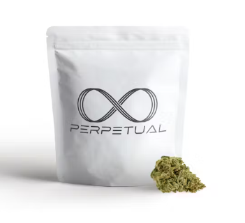 Photograph of product: Perpetual Gary Payton - 28g
