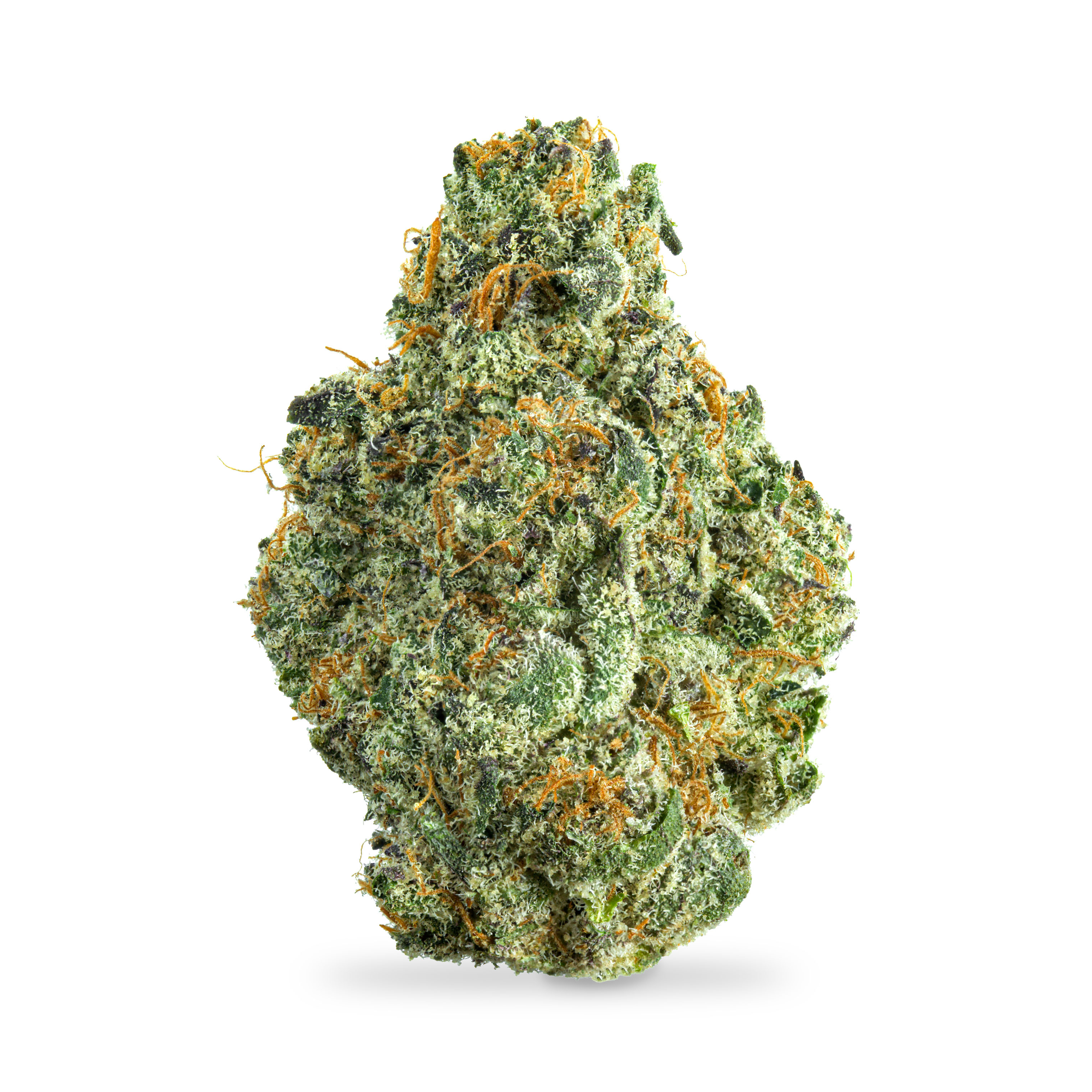 Photograph of product: Jelly Cake B Buds - 1g