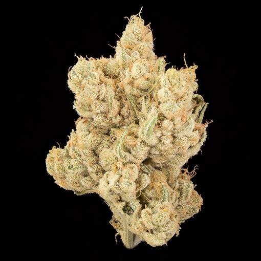 Photograph of product: Bountiful Farms | Meow | 3.5g