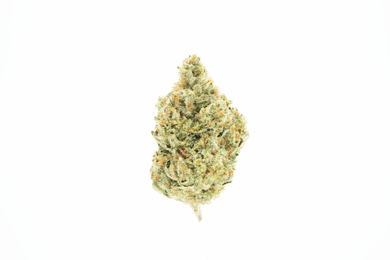 Photograph of product: Headband - 3.5g (H) - UpNorth