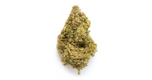 Photograph of product: TETRA | Dosido Sherbet 7g