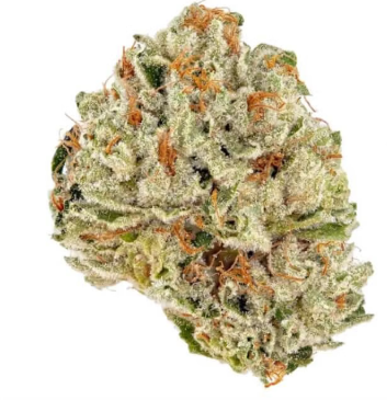 Photograph of product: Flower | Socrates Sour - 3.5g