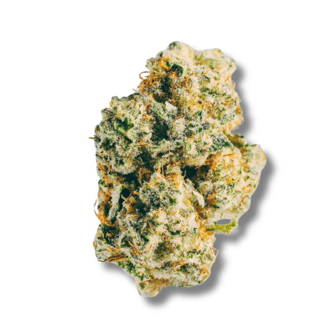 Photograph of product: Cape White Shark | TAC : 21.1% - 3.5g