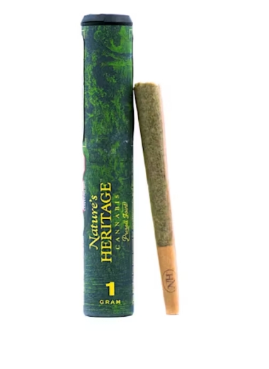 Photograph of product: Governmint Oasis | 1g | 23.89% TAC