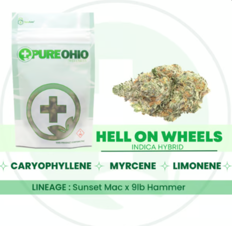 Photograph of product: Hell On Wheels | 14.15g