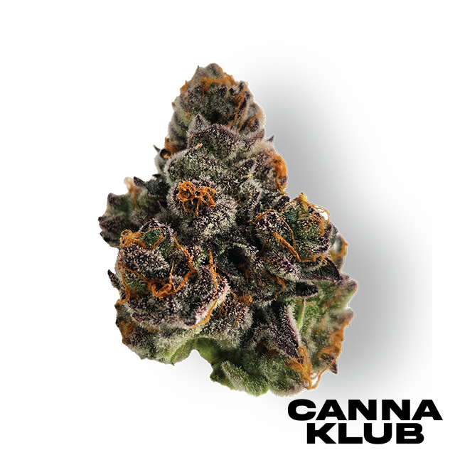 Photograph of product: SLURRICANE X GELATO #33 7G *2 FOR 70*