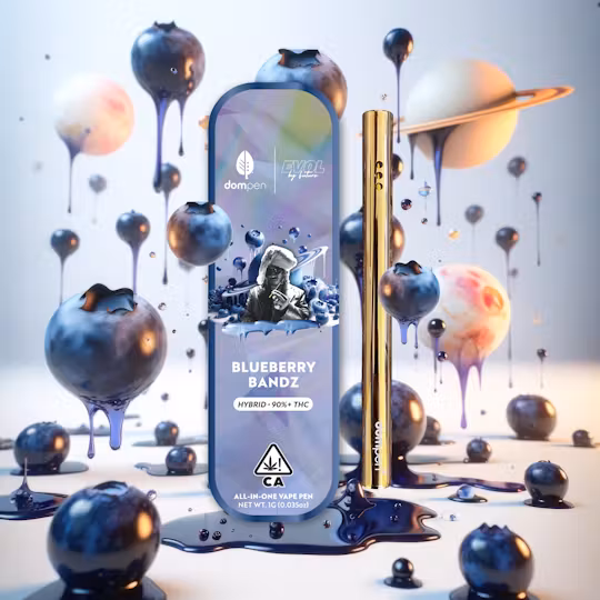 Photograph of product: Blueberry Bandz All In One [H]