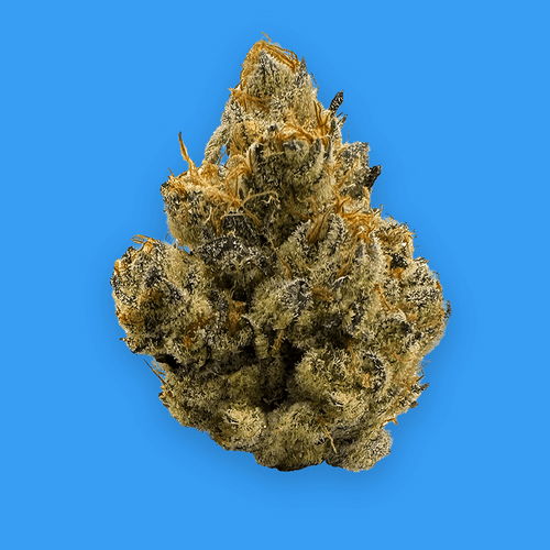 Photograph of product: BUOYANT BOB PRE-PACK FLOWER WOUNDED WARRIORS BREATH (I/H) 3.5G