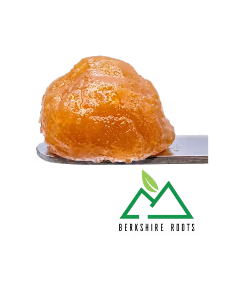 Photograph of product: Orange Chemeleon Live Badder