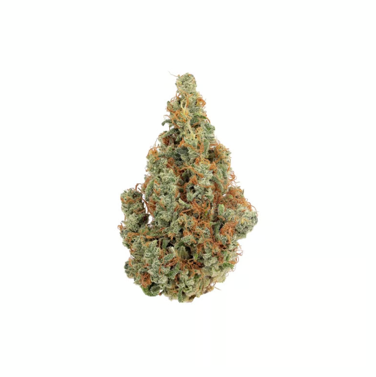 Photograph of product: Connoisseur Shelf Revolution Blueberry (H) - 3.5g