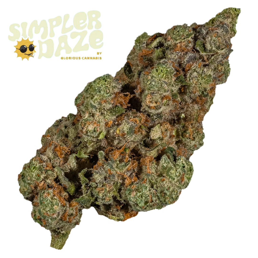Photograph of product: Jet Fuel x GMO | Popcorn - 28g