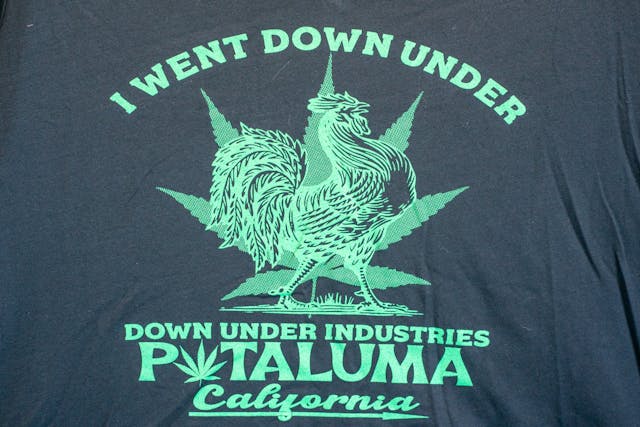 Photograph of product: Chicken Shirt Mens 2X - 