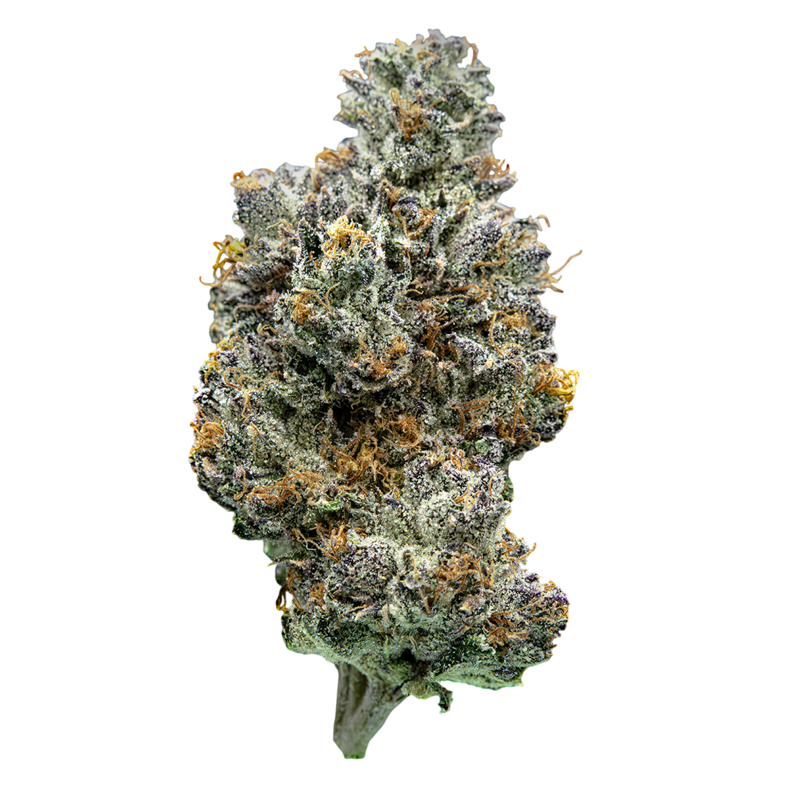 Photograph of product: Society C Devils Drip Buds - 28g