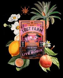 Photograph of product: Live Rosin Gummies | Tropical Lemonade x Do-Si-Dos Rosin (H) | Lost farms