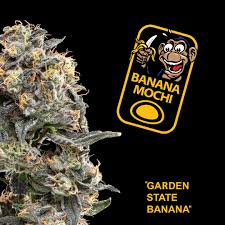 Photograph of product: Banana Mochi 3.5g-H