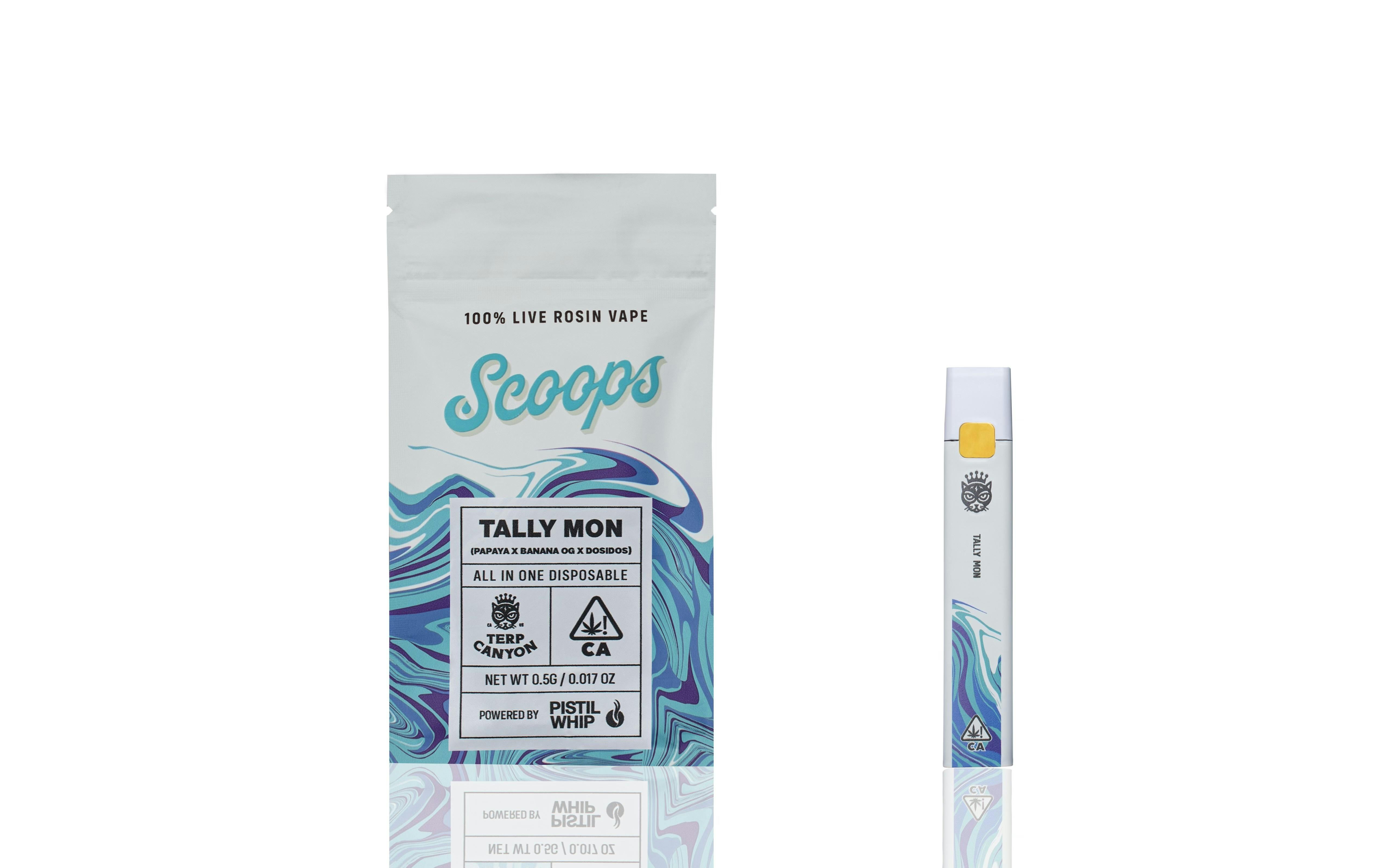 Photograph of product: Scoops - GMO - Hybrid - Disposable