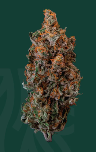 Photograph of product: Local Roots | Jack Skunk  [3.5g]