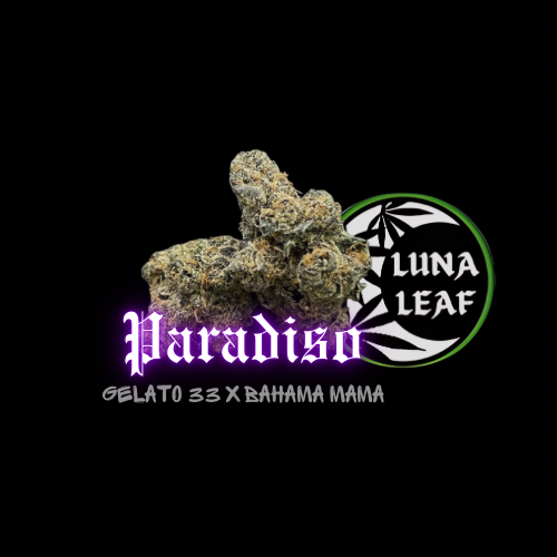 Photograph of product: LUNA LEAF | Paradiso | PreRoll (I/H)