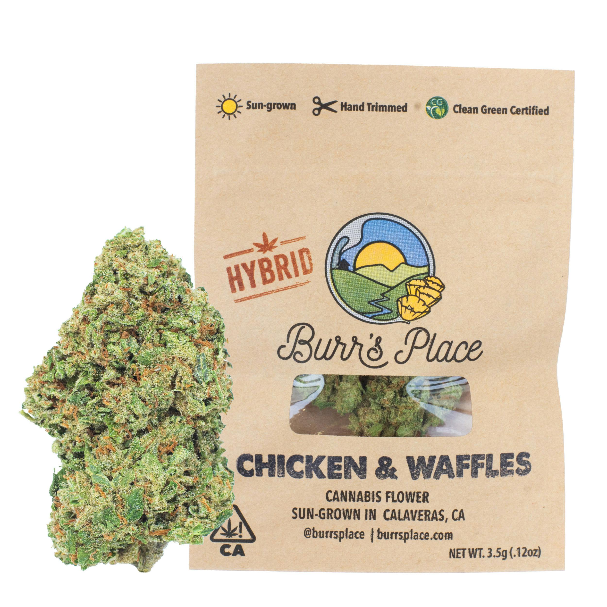 Photograph of product: Burr's Place | Chicken & Waffles (H) | 3.5g Sungrown Flower