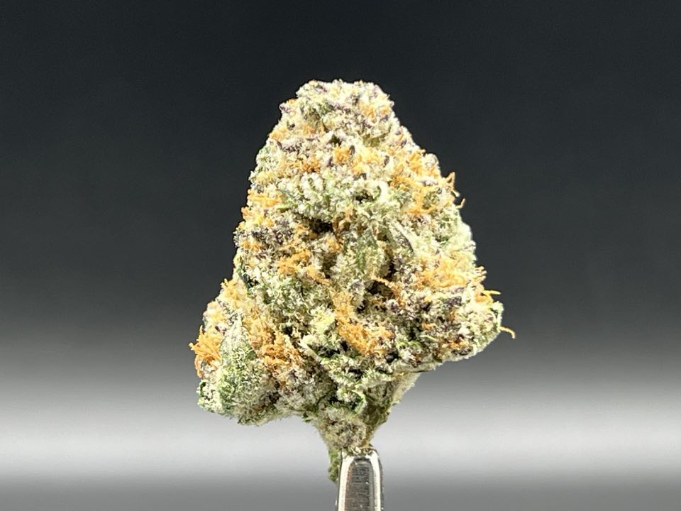 Photograph of product: Jellybreath | 3.28.25 I - 7g
