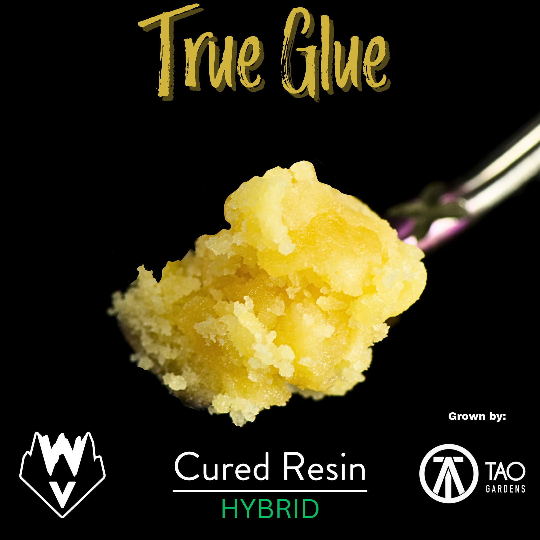 Photograph of product: Willamette Valley Alchemy - Cured Badder - True Glue
