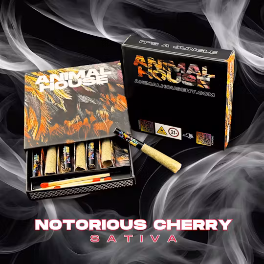 Photograph of product: Animal House | Notorious Cherry | Kief Infused Preroll | 7pk x 0.5g