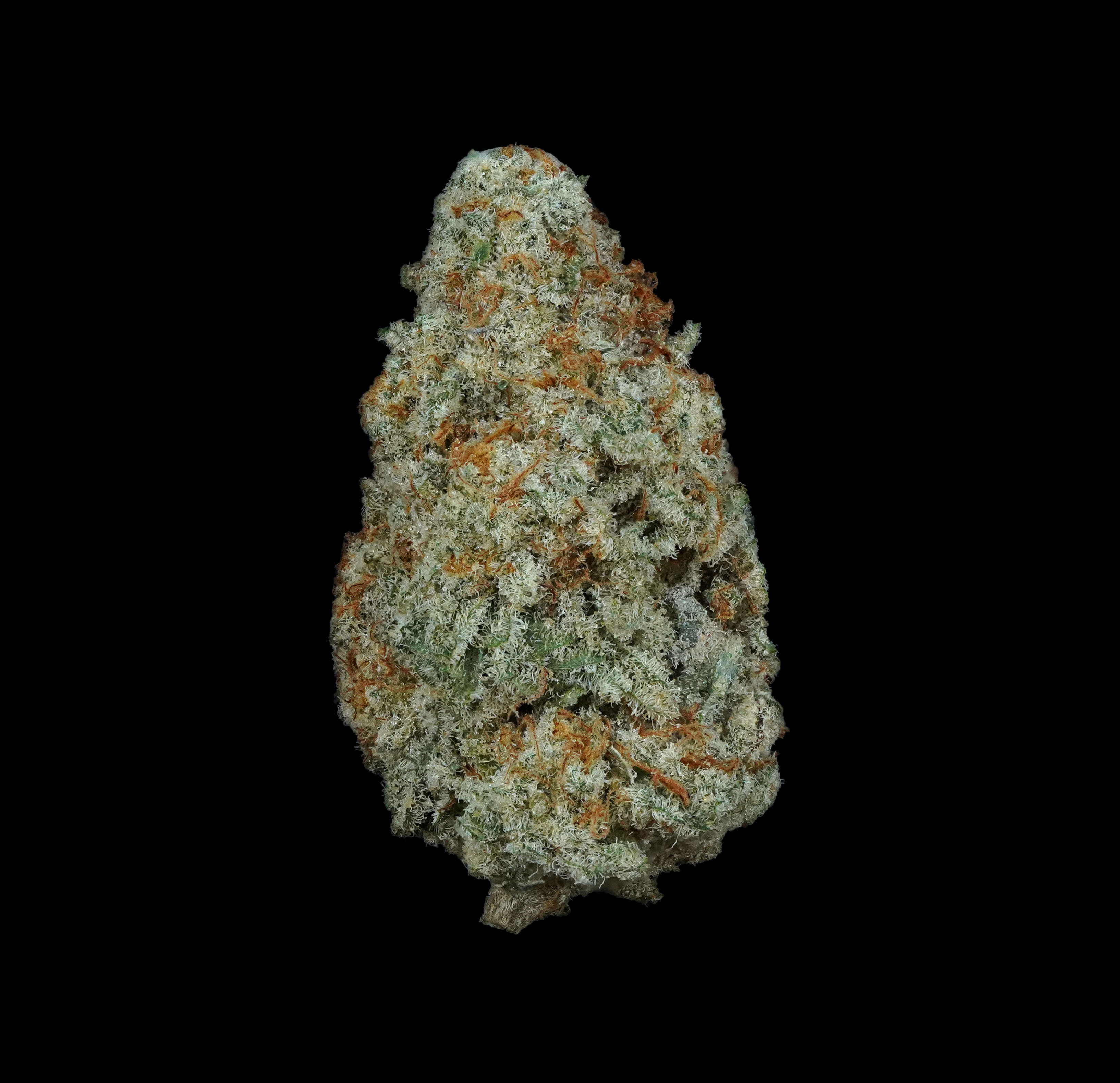 Photograph of product: (BULK) Super Boof (au chocolatery) - Hybrid - 14g