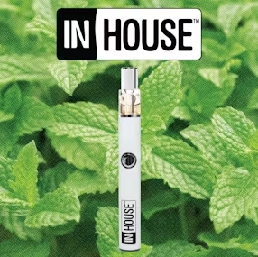 Photograph of product: Cool Mint | 1:1 TH-oui:CBD | Disposable | 1g