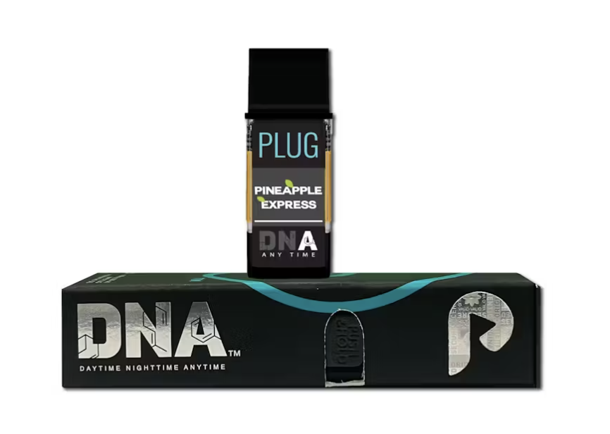 Photograph of product: PLUG PLAY - PINEAPPLE EXPRESS 1G