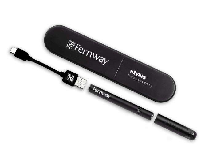 Photograph of product: Fernway USB-C Stylus
