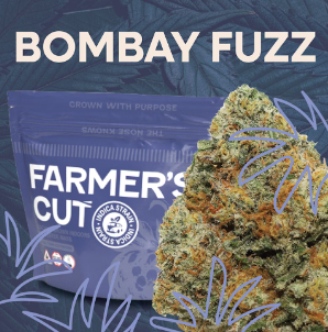 Photograph of product: Bombay Fuzz (I) - Popcorn Buds (28g)