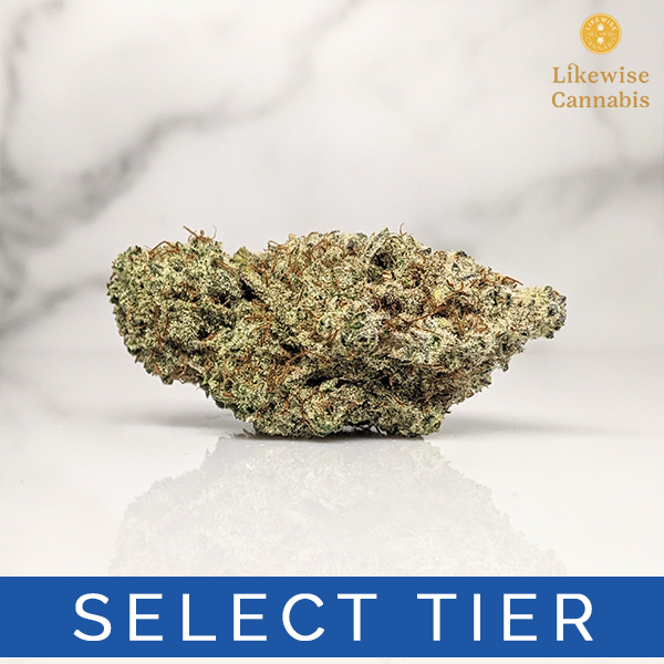Photograph of product: SUPER SKUNK DIESEL - 28g