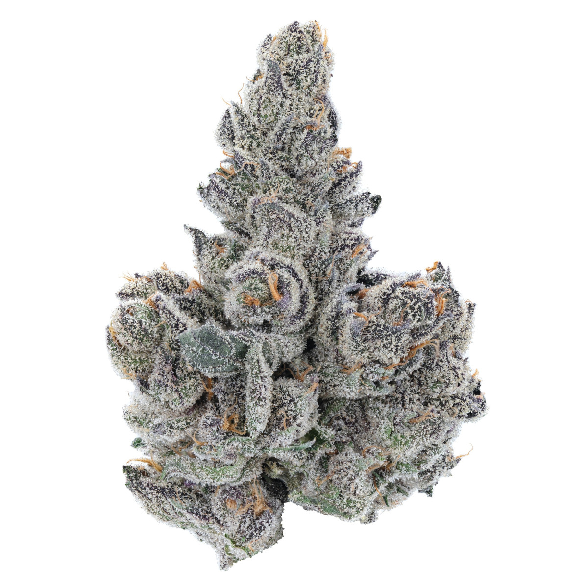 Photograph of product: Zero Gravity - Gastro Pop - 3.5g