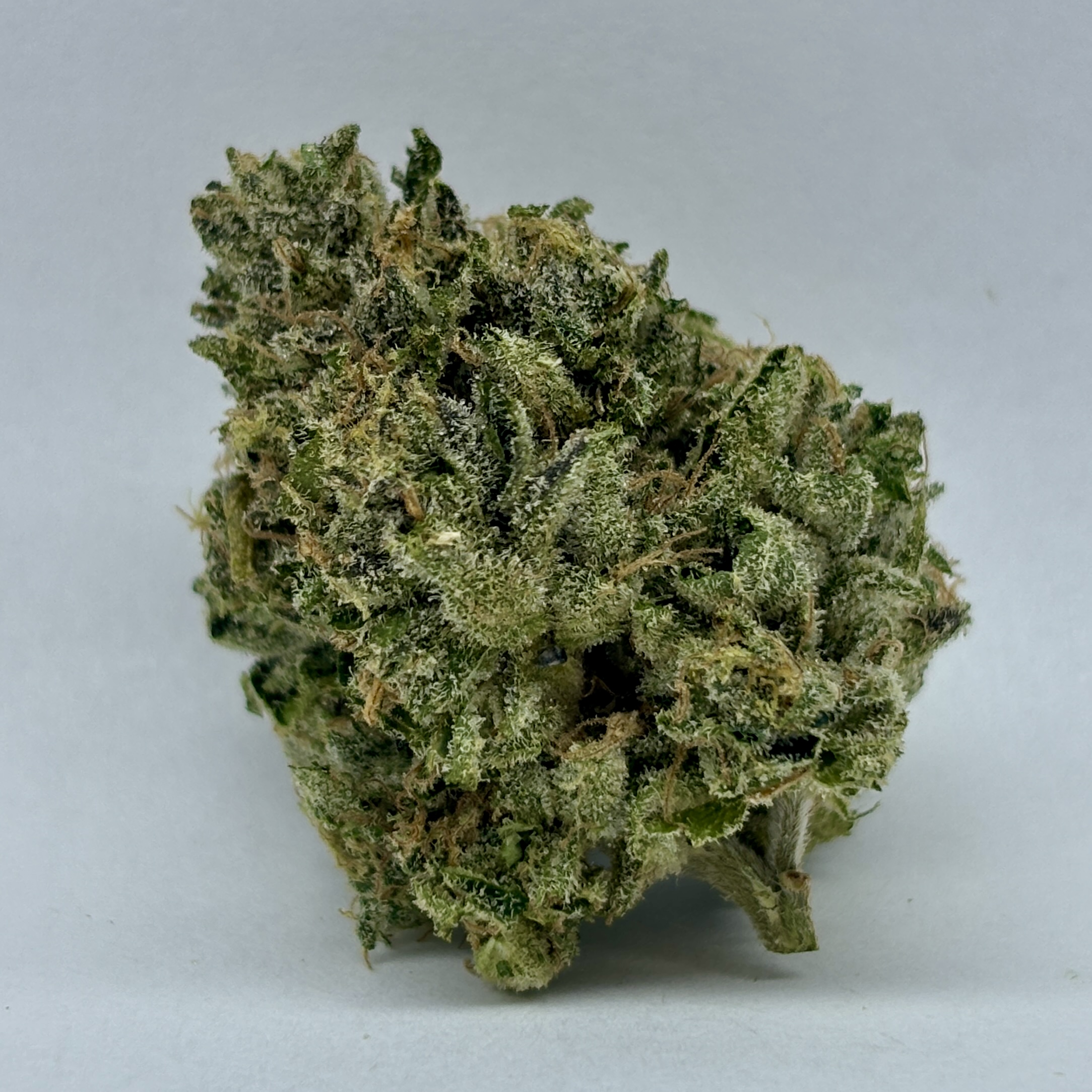 Photograph of product: Zazoo-Flower-|HybridBSC - 3.5g