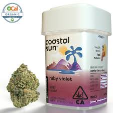 Photograph of product: Coastal Sun Sungrown 7g Quarter - Ruby Violet (I)