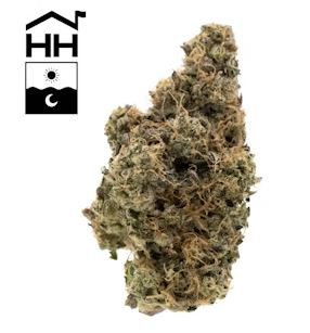 Photograph of product: Black Maple (TAX INCLUDED) - 28g